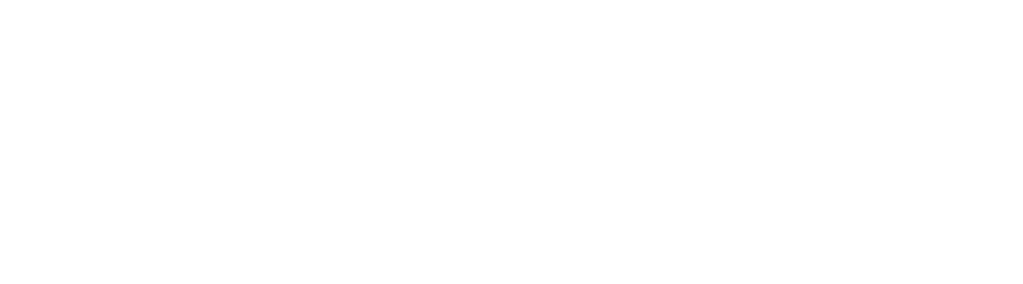 megaflis-white-new-logo